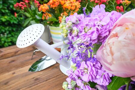 watering can and flower seedlings on a wooden tableの写真素材