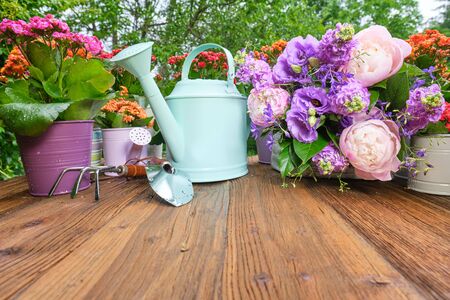 watering can and flower seedlings on a wooden tableの写真素材
