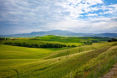 Tuscany landscape at sunrise. Typical for the region tuscan farm house, hills, vineyard. Italyの写真素材