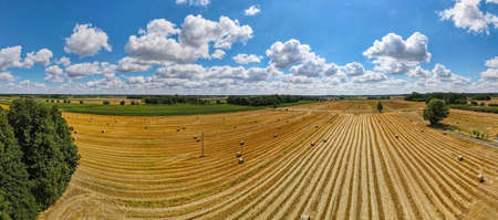 Aerial panorama of rural road passing through agricultural land in Poland countrysideの写真素材