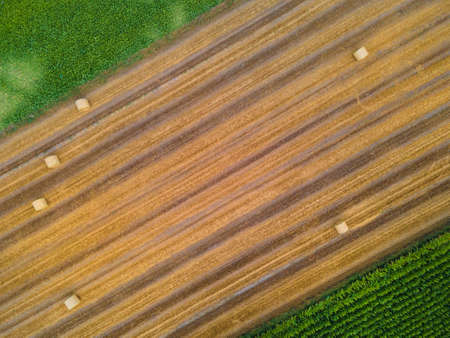 Bales of hay on the field after harvest shot by drone. Aerial drone photo of Poland country