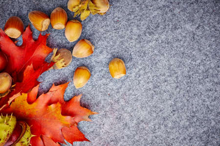 open envelope with autumnal greetings like colorful leaves, nuts on gray background.- fall printed on dry maple leaf.の写真素材