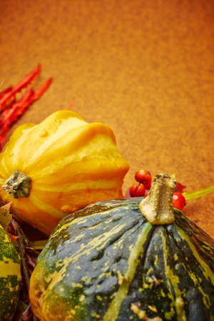Harvested pumpkins with fall leaves, autumn backgroundの写真素材
