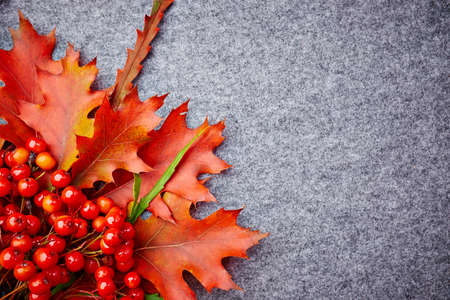 open envelope with autumnal greetings like colorful leaves, nuts on gray background.- fall printed on dry maple leaf.の写真素材