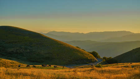 famous plateau in the natural park of Monti Sibillini. (Perugia, Umbria, Italy). Wild horses