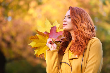 Cute smiley woman holding autumn leafs in the nature.の写真素材
