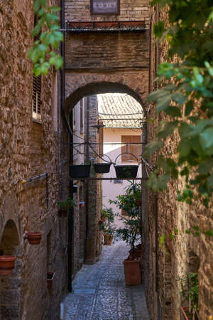 typical Italian street in a small provincial town of Tuscan, Italy, Europeの写真素材