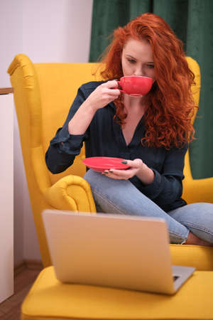Nice beautiful lady with redhead curly hair work at the notebook sit down on the sofa at home - check on oline shops for cyber monday sales - technology woman concept for alternative office freelanceの写真素材