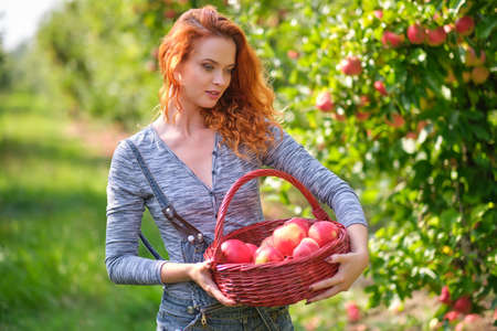 young woman cute blond girl smiling among red apples sun light flares of rays looking at camera on summer outdoor copy space backgroundの写真素材