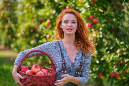 young woman cute blond girl smiling among red apples sun light flares of rays looking at camera on summer outdoor copy space backgroundの写真素材
