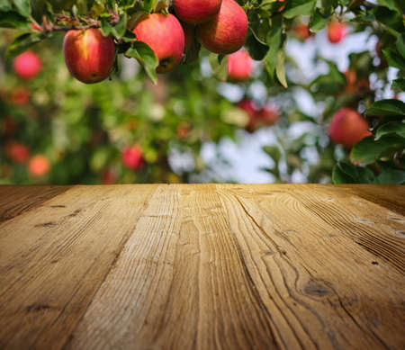 table space and apple gardenの写真素材