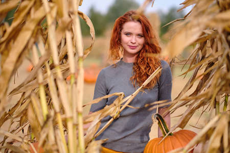 Beautiful woman harvesting pumpkinsの写真素材