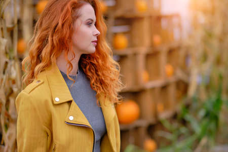 Beautiful woman harvesting pumpkinsの写真素材