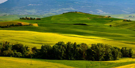 Tuscany, Italy landscape. Super high quality panorama taken at wonderful sunrise. Vineyards, hills, farm house.の写真素材