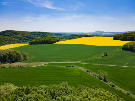 Aerial view of yellow rape fields in spring, Polandの写真素材