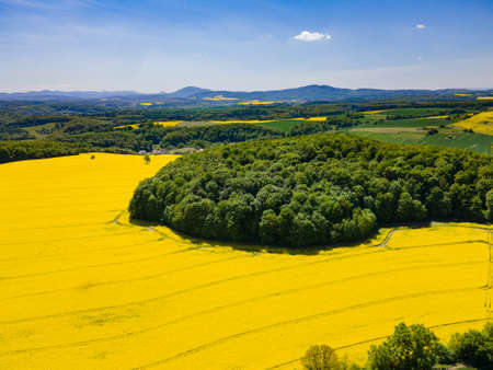 Aerial view of yellow rape fields in spring, Polandの写真素材