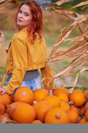 Pumpkins. Young woman farmer picking autumn crop of pumpkins on farm. Agriculture. Thanksgiving and Halloweenの写真素材