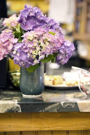 Hydrangea in Vaseの写真素材