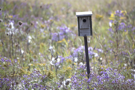 Bird House
