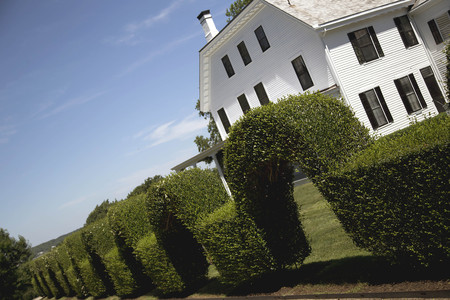 Garden with Topiaryの写真素材