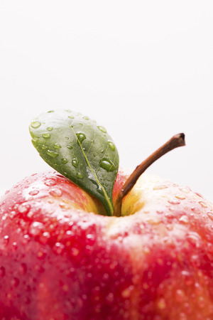 Close up of a red appleの写真素材