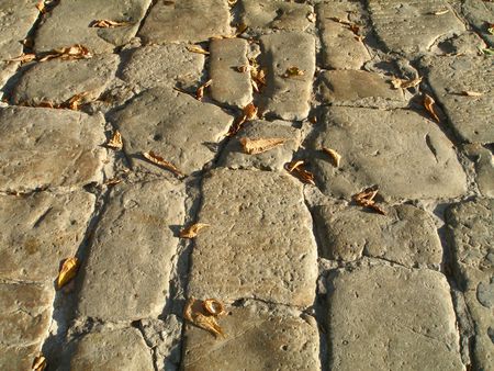 Old stone road texture with fall leafの写真素材