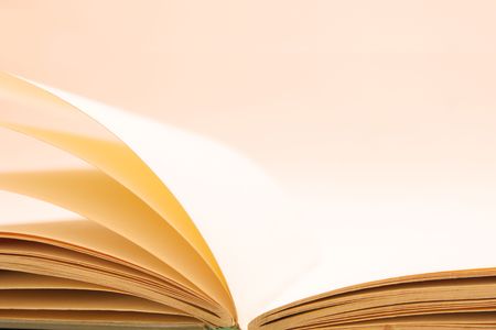 Blank pages of open book close-up