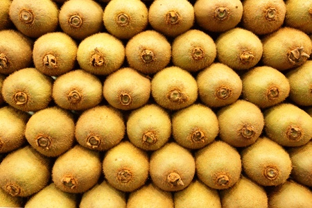 Kiwi close-up, may be used as backgroundの写真素材