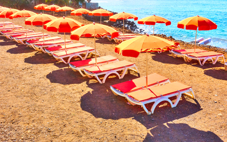 Orange umbrellas and chaise-longues on a sea beach, Tenerifeの写真素材