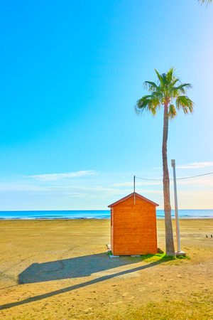 Palm tree and changing room on a sea resort beachの写真素材