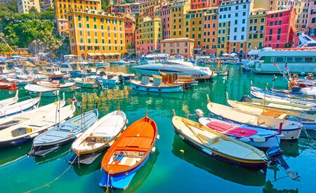 Colorful buildings and fishing boats in the port of Camogli on sunny summer day, Genoa, Italyの写真素材