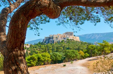 Picturesque view of Athens with The Acropolis and old pine in the park, Greece - Greek landscapeの写真素材