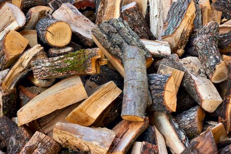 Firewood -  Heap of wood logs