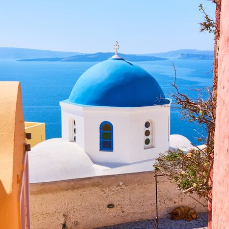 Greek orthodox church with blue dome by the sea in Oia town in Santorini island, Greeceの写真素材