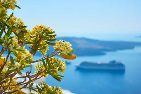 Perspective of classical greek columns, Athens, Greece. Black and white architectural photographyの写真素材