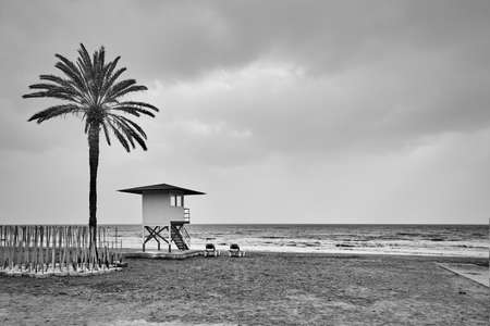 Desolate beach with palm and lifeguard tower by the sea. Black and white photography, landscapeの写真素材
