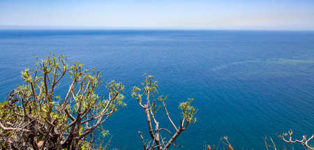 Atlantic Ocean and tropical plants on the coast of La Palma island, Canary Islans, Spain. Landscapeの写真素材