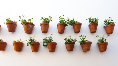 Wall with flower pots in Cordoba, Spainの写真素材