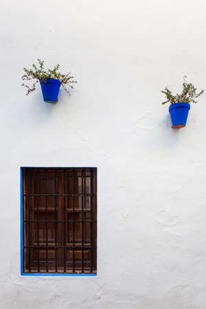 Flower pots on the wall in Cordoba, Spainの写真素材