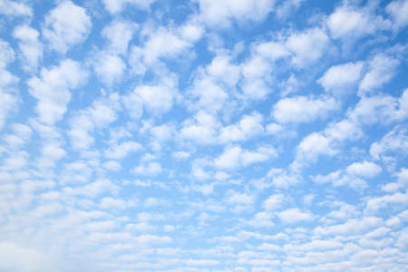 Blue sky with multitude small clouds , may be used as background or textureの写真素材