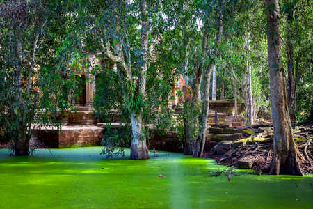 Ancient ruins in the jungle, Cambodiaの写真素材
