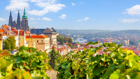Panoramic cityscape of Prague with vineyard in Hradcany, Czech Republicのeditorial素材