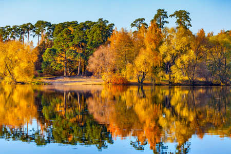 Scenic Autumn Landscape - Forest by the water in the fallの写真素材