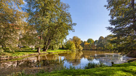 Park with scenic pond in the autumn - Scenic landscapeの写真素材