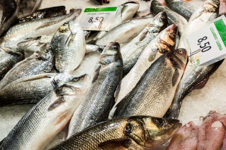Counter with fresh fish on ice at the market. Sea bass an Dorada