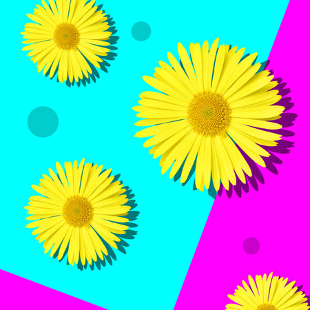 Composition with yellow daisy flowersの写真素材