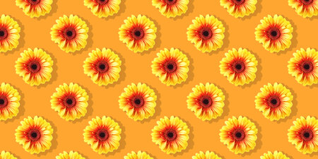 Daisy flowers seamless on sunny orange background.  Flat lay floral pattern