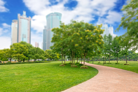 city park with modern building background in shanghaiの写真素材