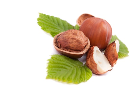 Hazelnuts  isolated on a white backgroundの写真素材