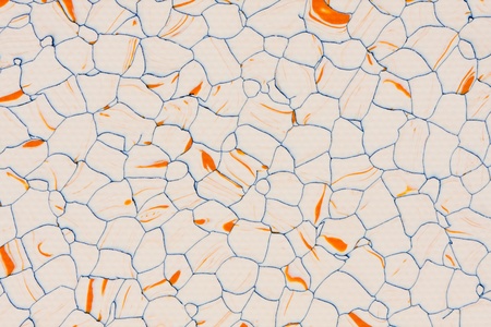 Backgroundの写真素材